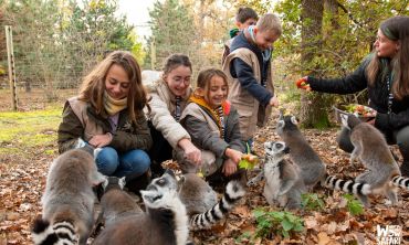 Vacances enfants : Séjours éco-responsable Découvrez le Wow Safari Peaugres, une aventure immersive