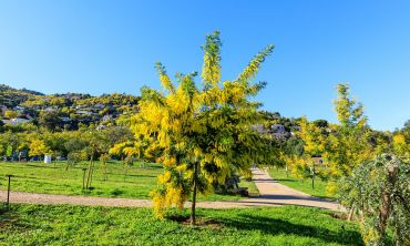 Vacances enfants : Activités enfants / famille Visite du Parc Emmanuelle de Marande à Mandelieu (Vacances en famille)