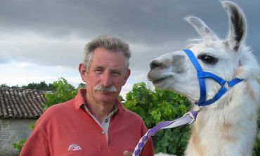 Vacances enfants : Juin Visite guidée de l'élevage de lamas (Séjours culture et découverte)