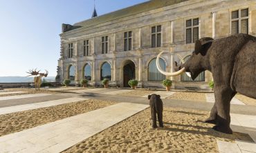 Vacances enfants : Adolescents (14 à 18 ans) Visitez le Musée de la Préhistoire - Grand Pressigny