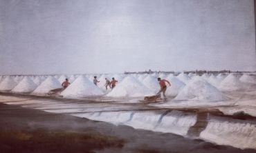 Vacances enfants : Séjours culture et découverte Visitez le Musée de la Camargue et explorez la culture locale