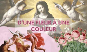 Séjours & vacances ados : Eté Visite culturelle de l'Institut Calvet (Séjours culture et découverte)