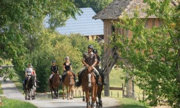 Vacances enfants : Colonies de vacances Équitation intensive