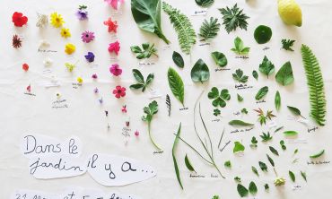 Séjours & vacances ados : Campagne Atelier Merveilleuse Nature