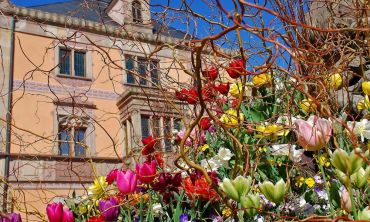 Séjours & vacances ados :  Découvrez Obernai et ses événements culturels (Séjours culture et découverte)