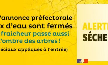 Séjours & vacances ados : Août 2026 Expériences sensorielles aux Jardins de Brocéliande
