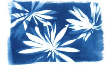 Séjours & vacances ados : France Stage cyanotype