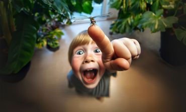Séjours & vacances ados : Eté Visitez Micropolis, la Cité des insectes (Séjours culture et découverte)