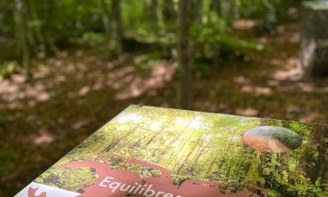 Vacances enfants : Vacances enfants Toussaint Découvrez le Musée de la Préhistoire du Vercors (Séjours culture et découverte)