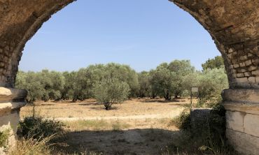 Séjours & vacances ados : Séjours culture et découverte Visite du patrimoine de Fontvieille (Séjours culture et découverte)