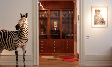 Vacances enfants : Séjours culture et découverte Expositions itinérantes du Muséum de Nantes (Séjours culture et découverte, Activités enfants / famille)