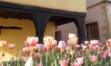 Séjours & vacances ados : Séjours culture et découverte Séjour découverte au cœur de l'Alsace (Séjours culture et découverte)