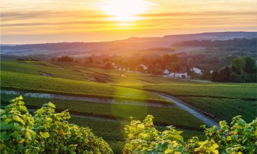 Séjours & vacances ados : Octobre 2026 Explorez les paysages enchanteurs du Parc de la Montagne de Reims