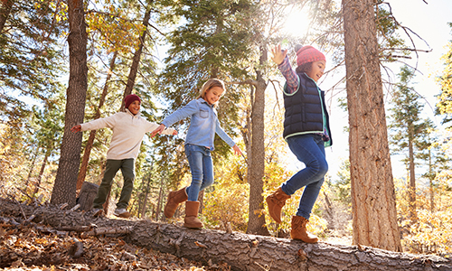 Colonies de vacances